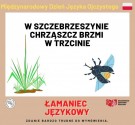 Powiększ zdjęcie Międzynarodowy Dzień Języka Polskiego - Łamaniec Językowy